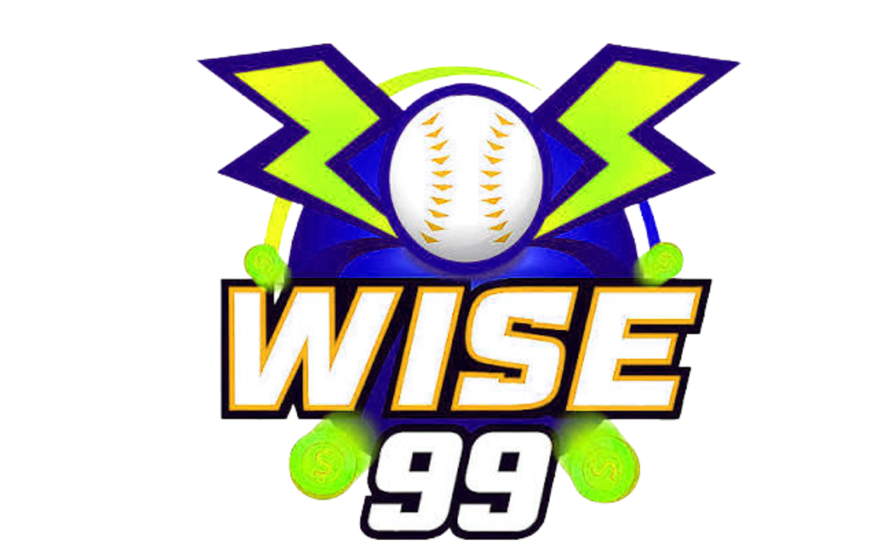 wise-99.net